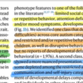 Four Autism Phenotypes That Help Us Support Autistic Kids Better