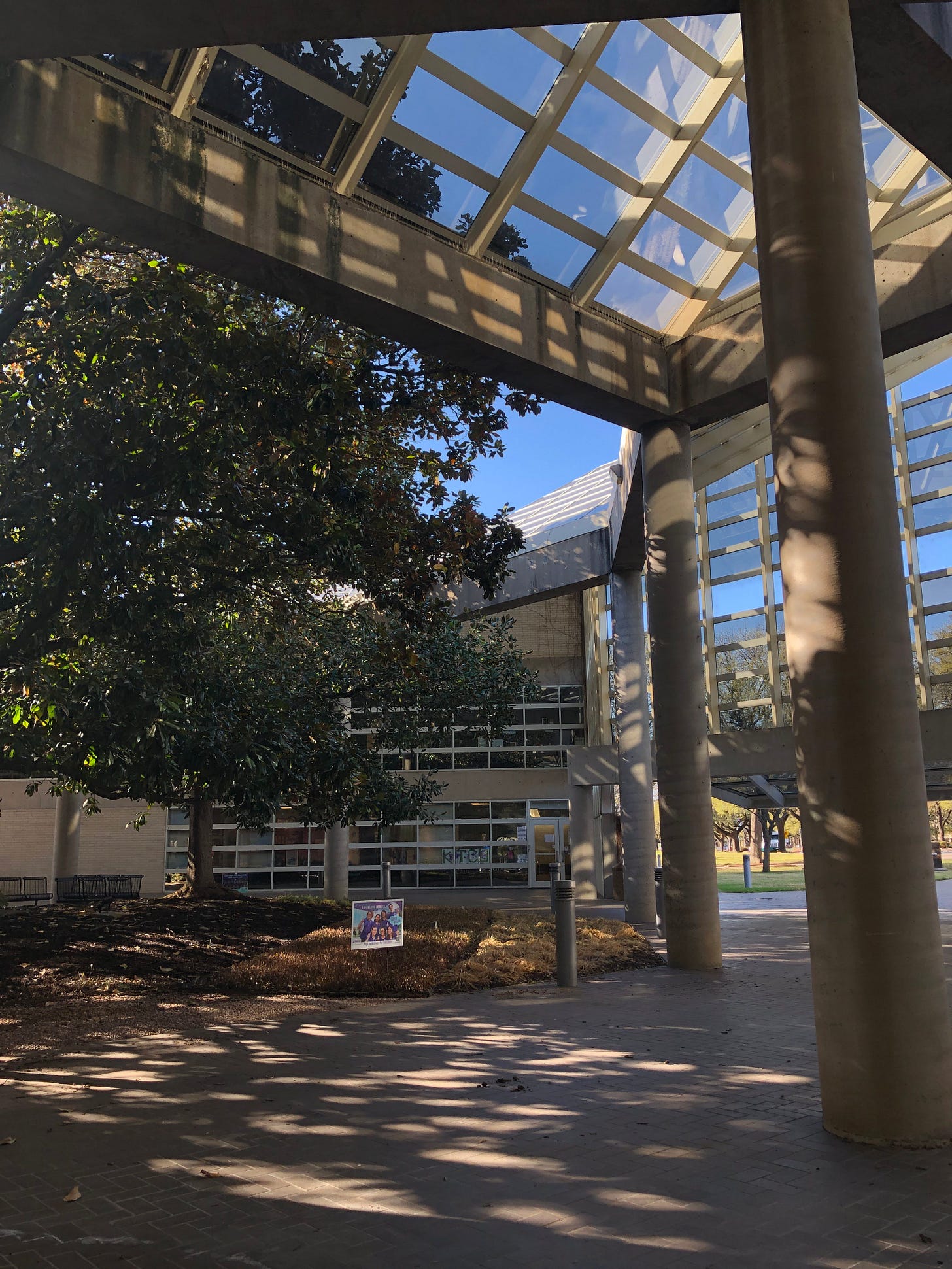 a photo of an atrium with many windows surrounding a large tree in the center.