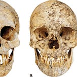Anthropology.net