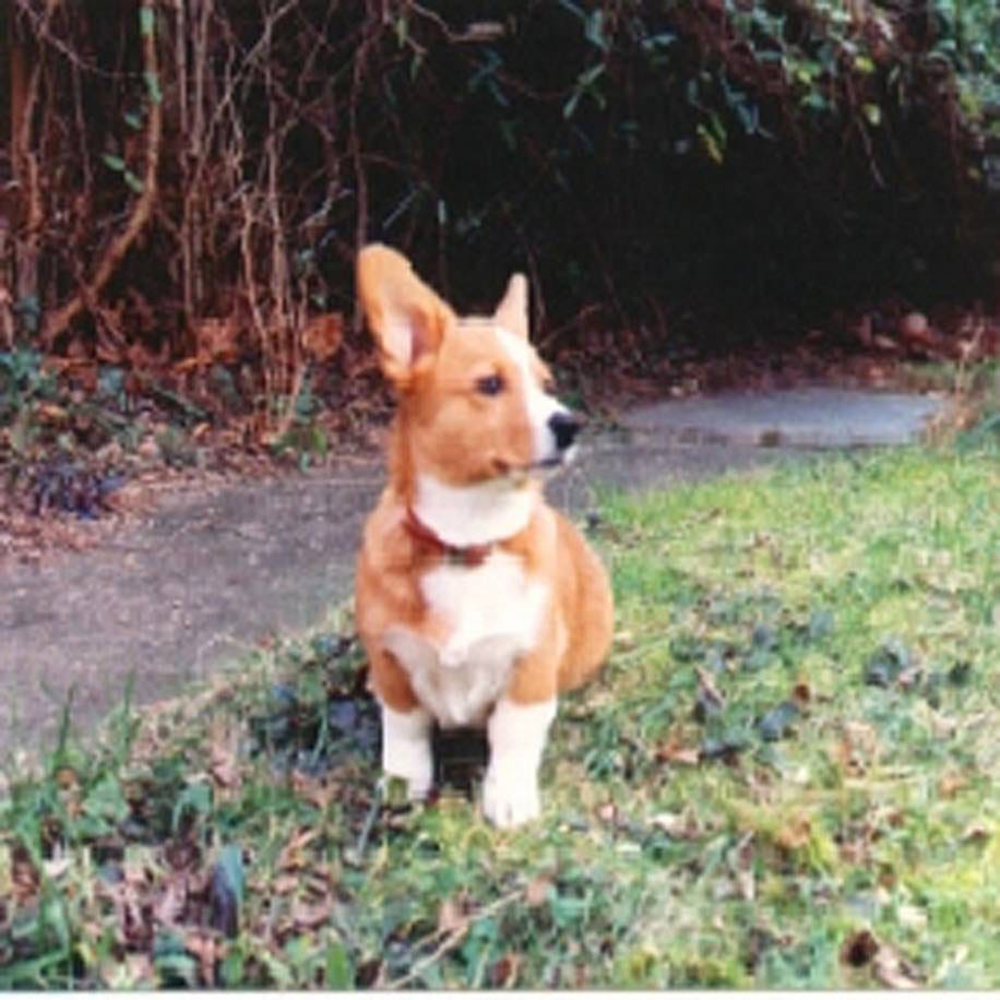 AlternativeInsightSubstack