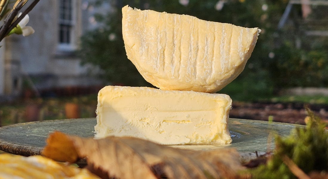 Primrose Creamery is making the best cheese in the country right here in Nottinghamshire