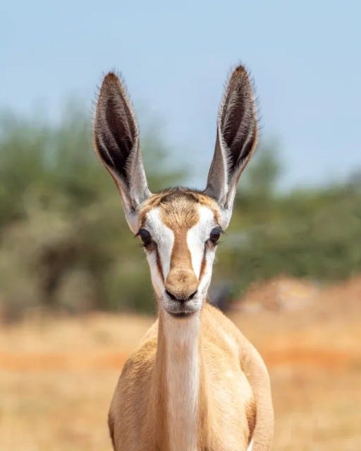 No photo description available.