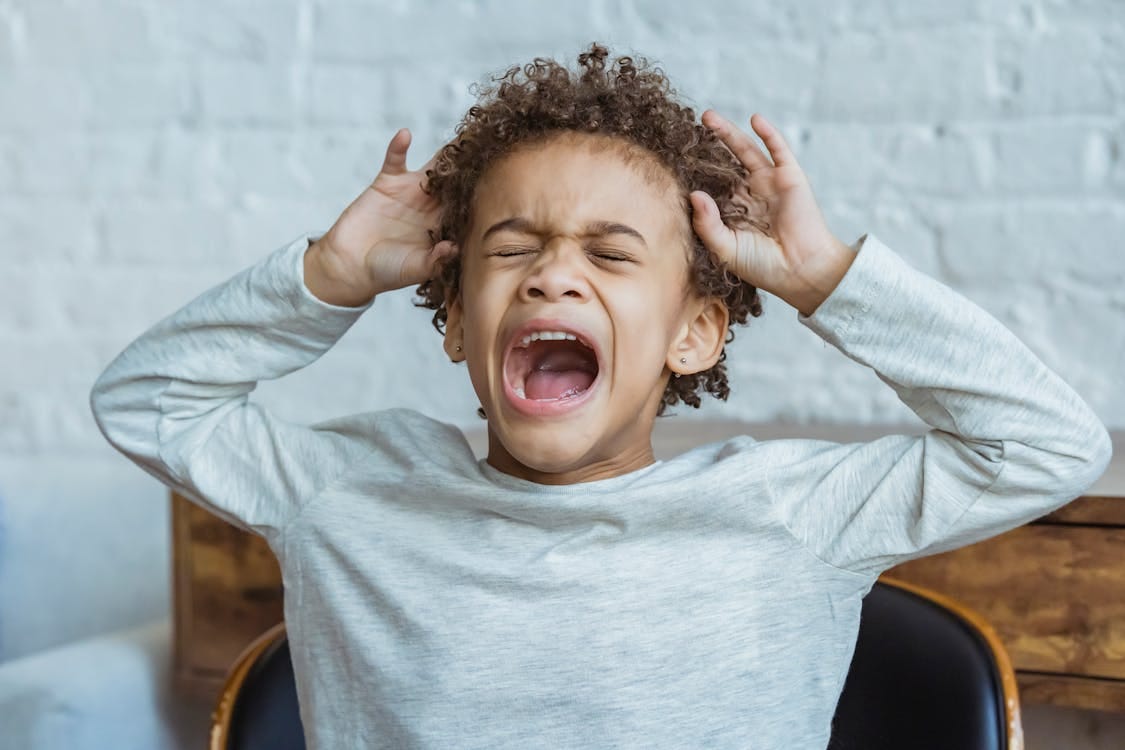 Free Young boy showing frustration indoors with hands on head, eyes closed, mouth open. Stock Photo