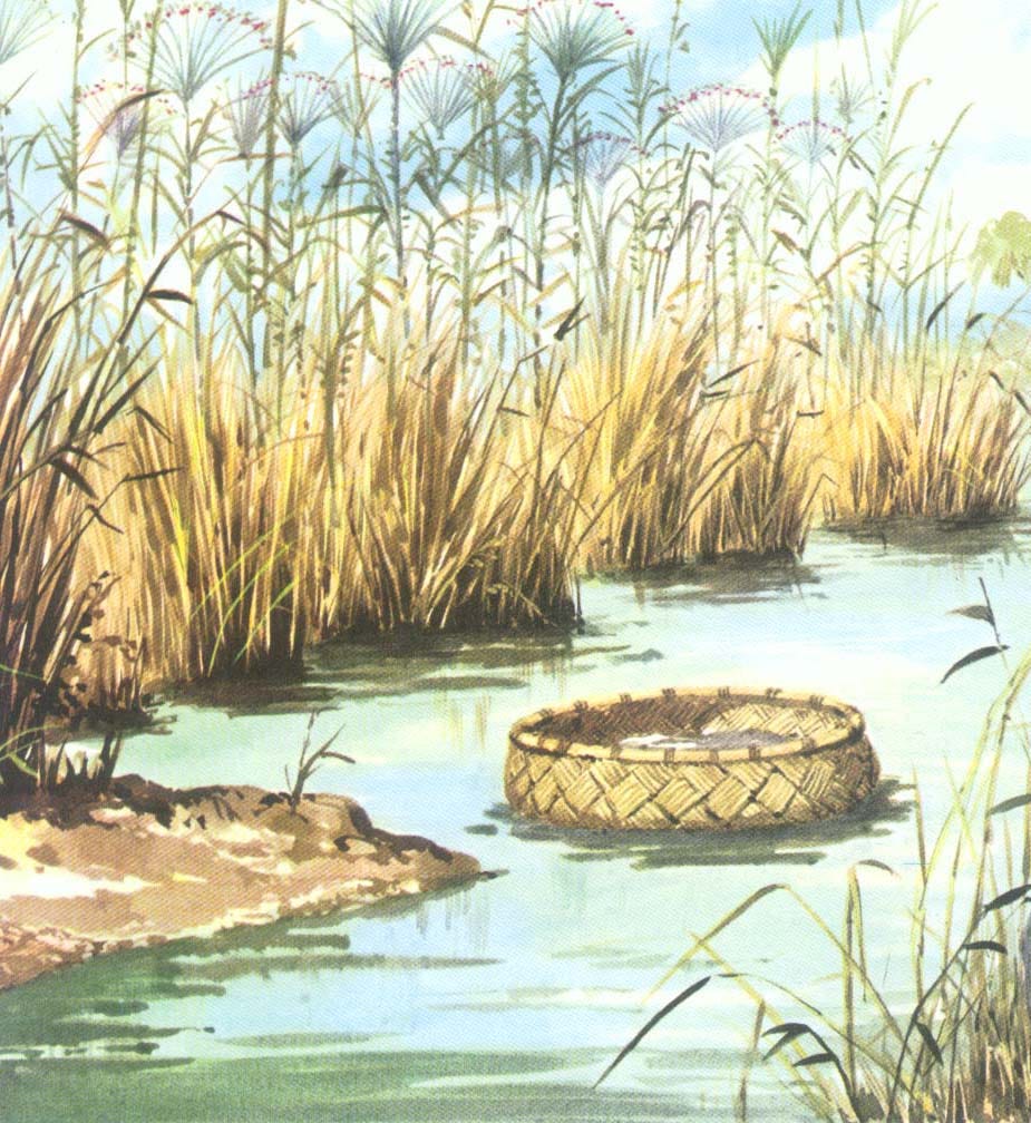 EcoPreacher: Sermon: Baby Moses in the Basket