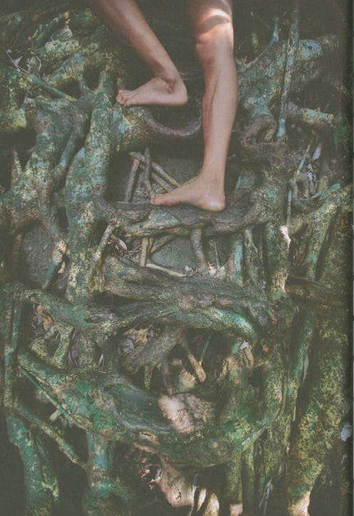 Close up on a ladder made of tree roots, and a pair of legs climbing up it.