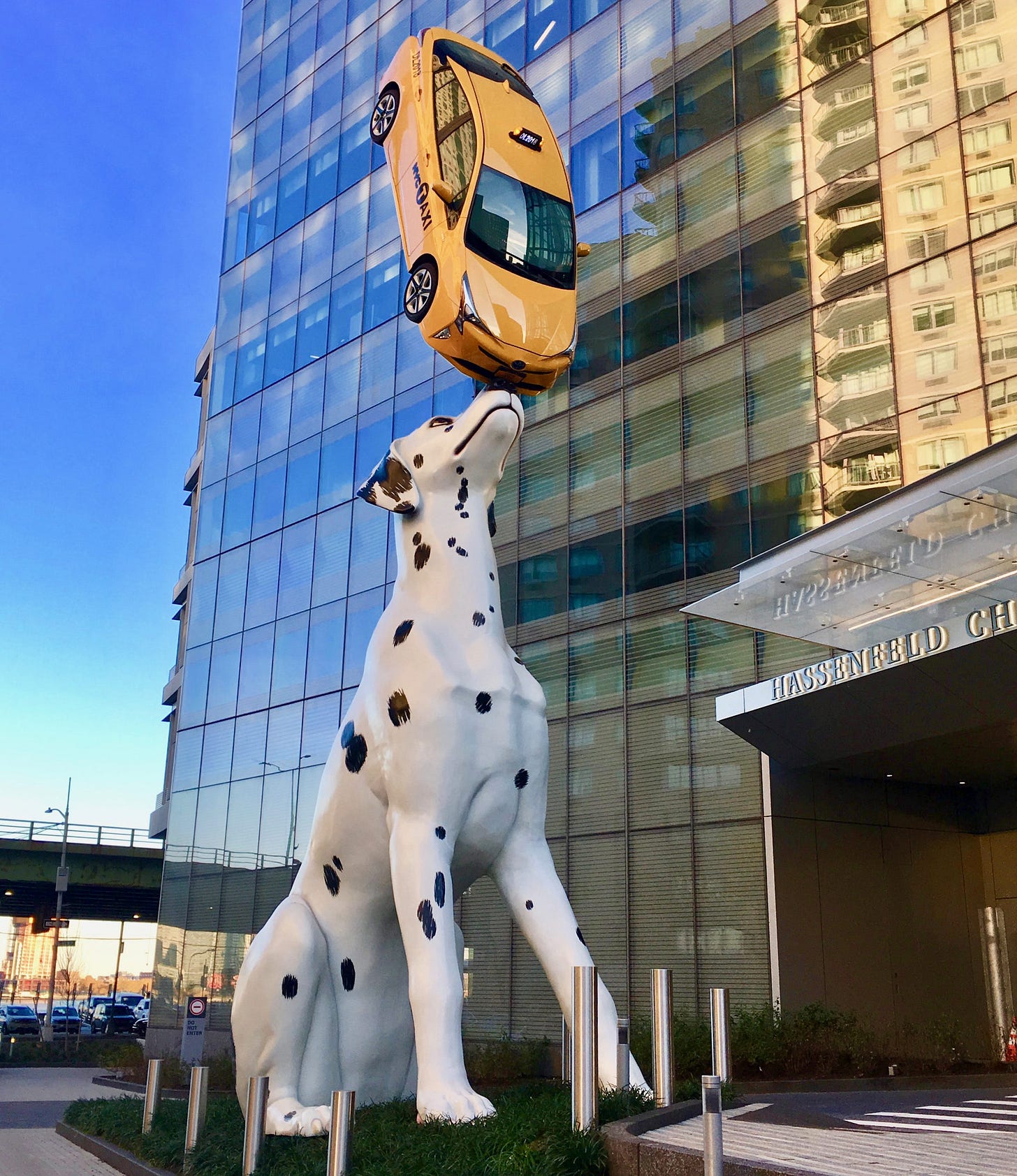 Monumental Dalmatian Statue at NYU Langone Health | The Worley Gig