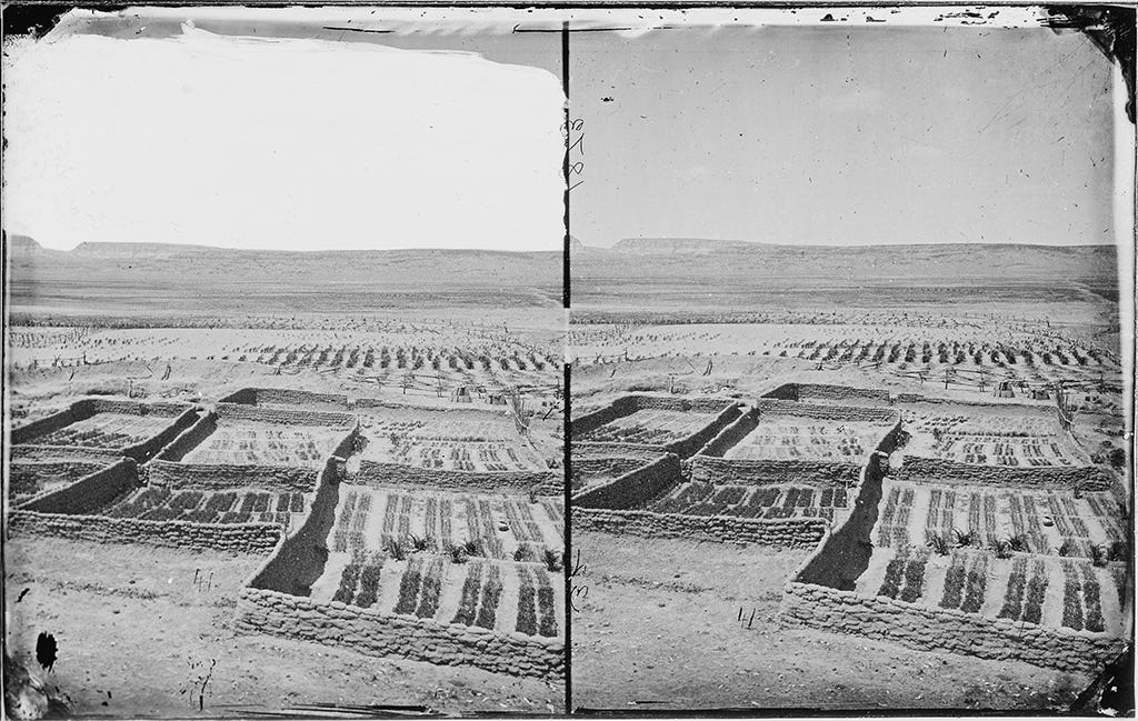 Fields at Zuni, New Mexico Fields at Zuni, New Mexico