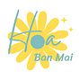 Hoa Ban Mai's avatar