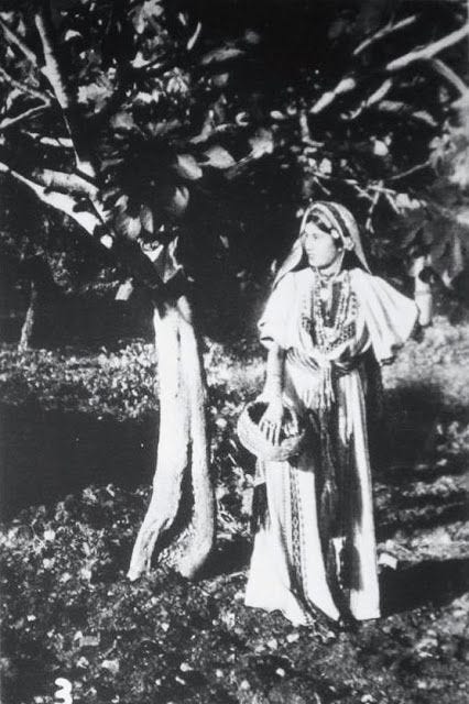 Holy Trees of Life