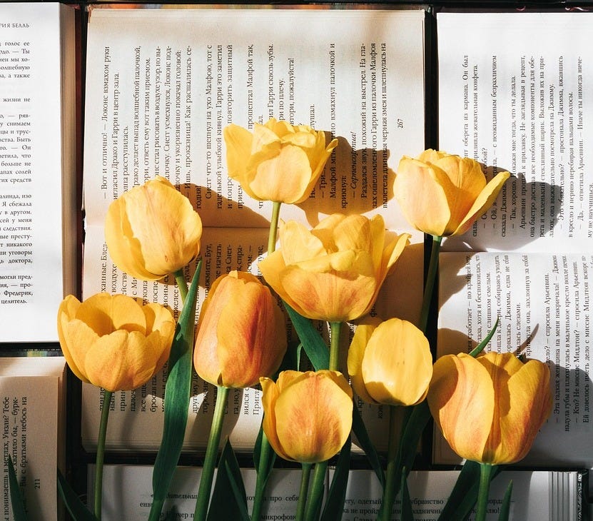 Tulips Flowers Books - Free photo on Pixabay