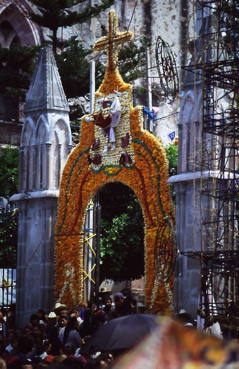 (Left) Church entrance adorned with cempoalxochitl (marigold flowers), St Miguel de Allende, Mexico; (centre) cempaoxchiltl, Suffolk; Queen of the Night, (wild), Bisbee Junction, Arizona (all photos by Mark Watson)
