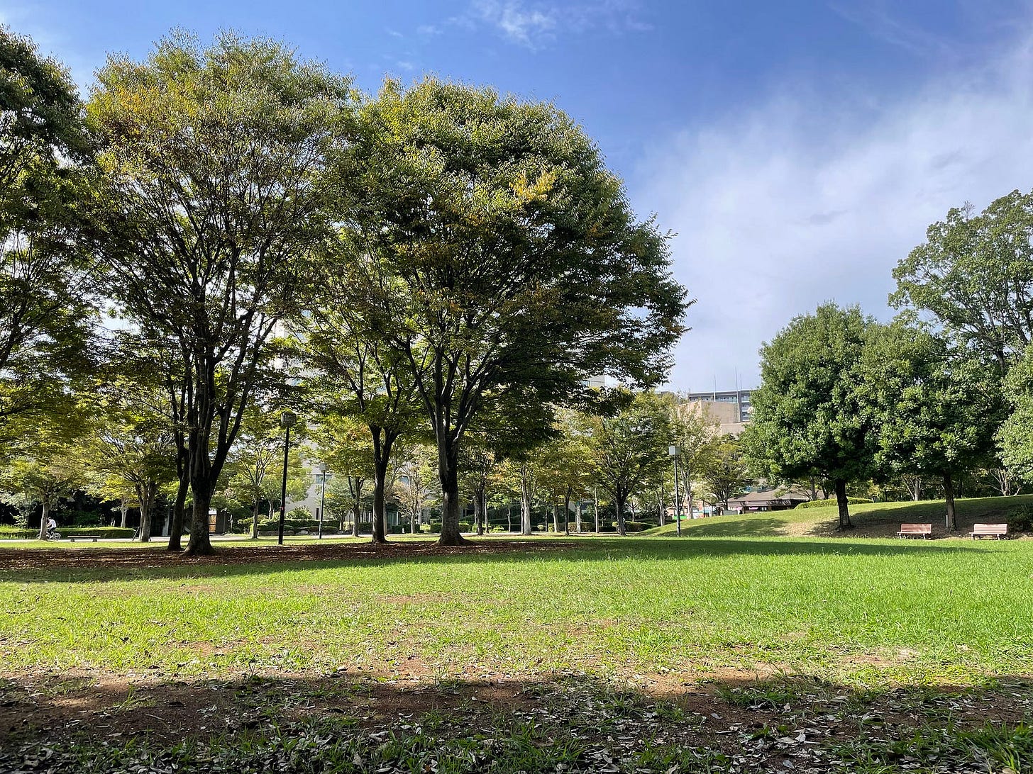 Tsukuba City