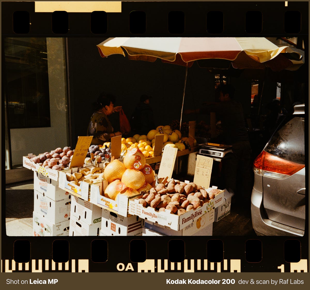 A latitude do filme é bem decente. Captura tanto sombras quanto destaques bem. A latitude do filme é bem decente. Captura tanto sombras quanto destaques bem.