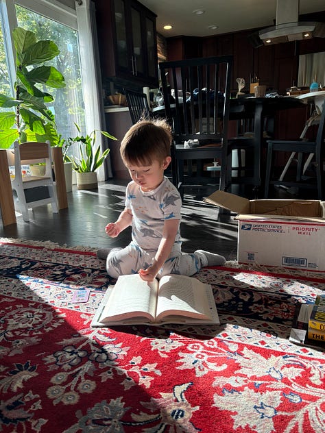 Young book lover Max stacks books, then reads them, and then prepares to stock little libraries with them