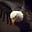 Bird Shutterbug's avatar