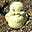 Edith Pilaf's avatar