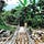 Deborah Bronstein's A Narrow Bridge