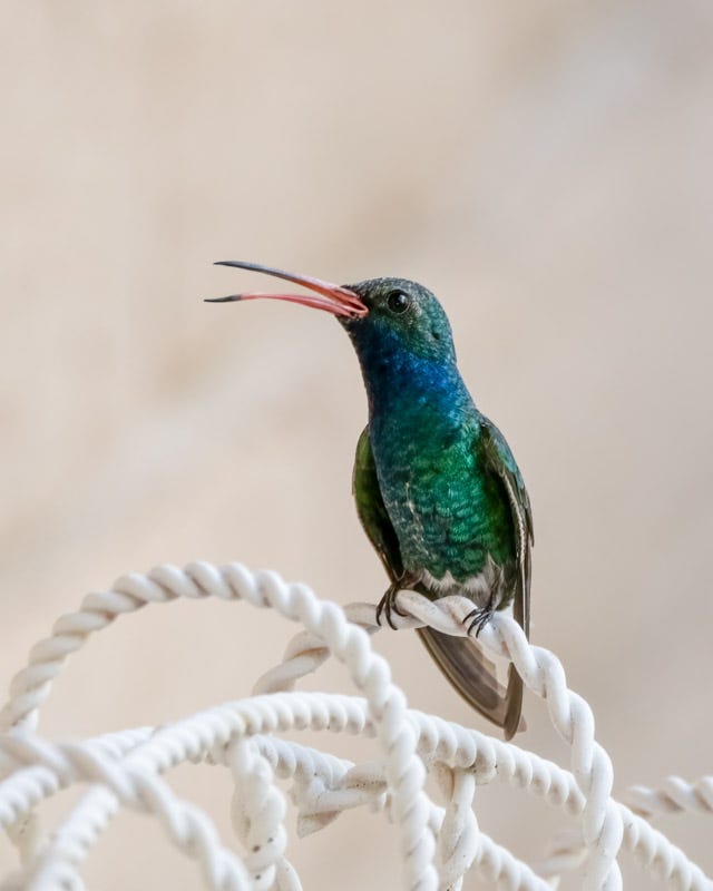 20241001-mby-11-Edit.jpg 20241001-mby-11-Edit.jpg