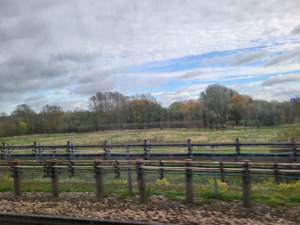 the edge of a railway line beyond which lies depressing fields and depressing trees