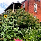 Podcast No. 37: How to homestead when you don't have a homestead