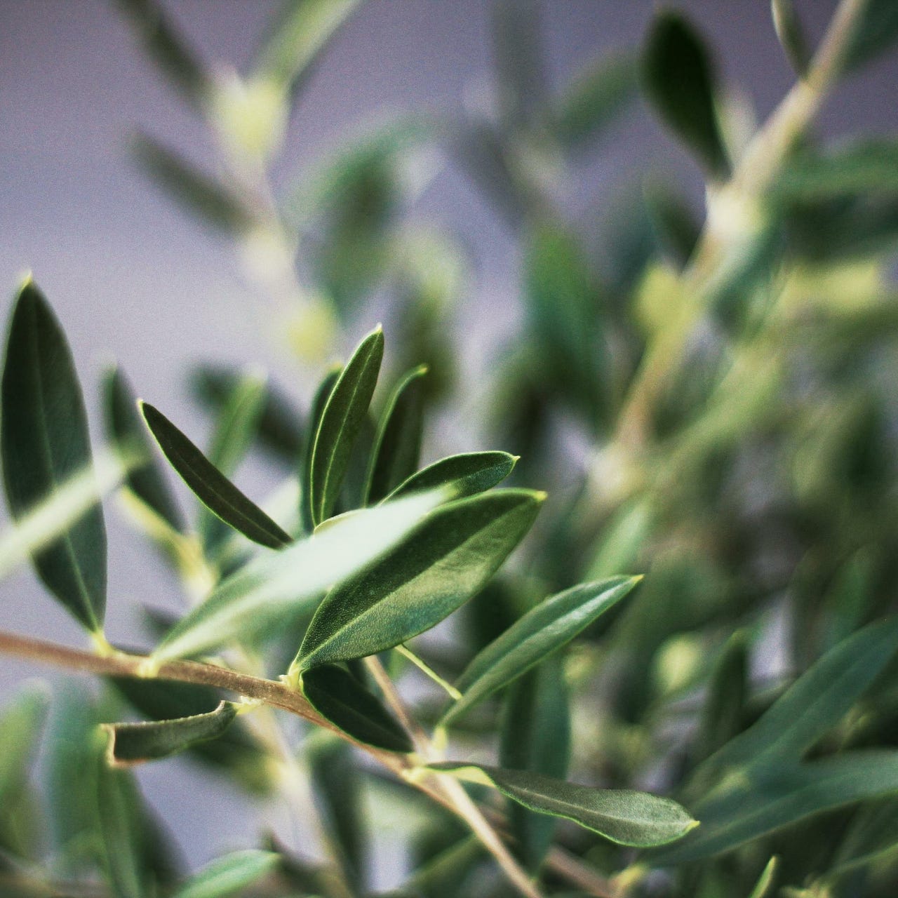 Truth, Reconciliation, and Love