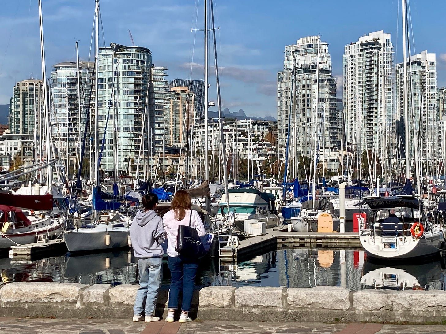 Heather Bay view cone