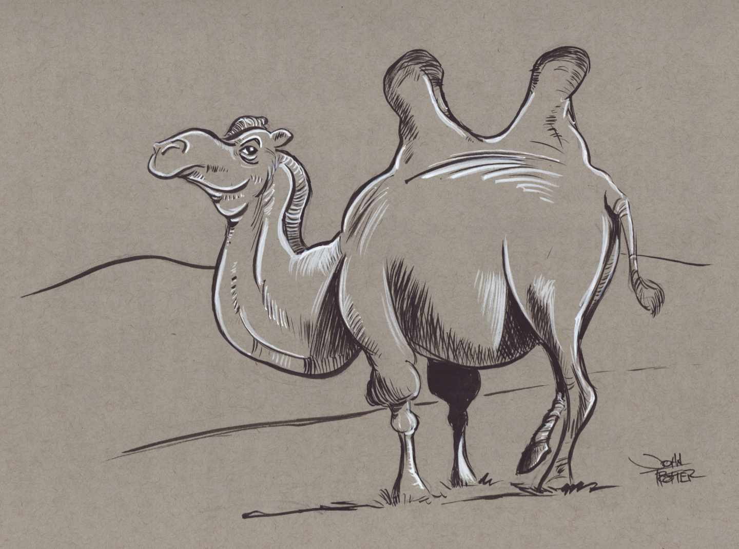 Black and white ink on toned paper of a cartoon bactrian camel.