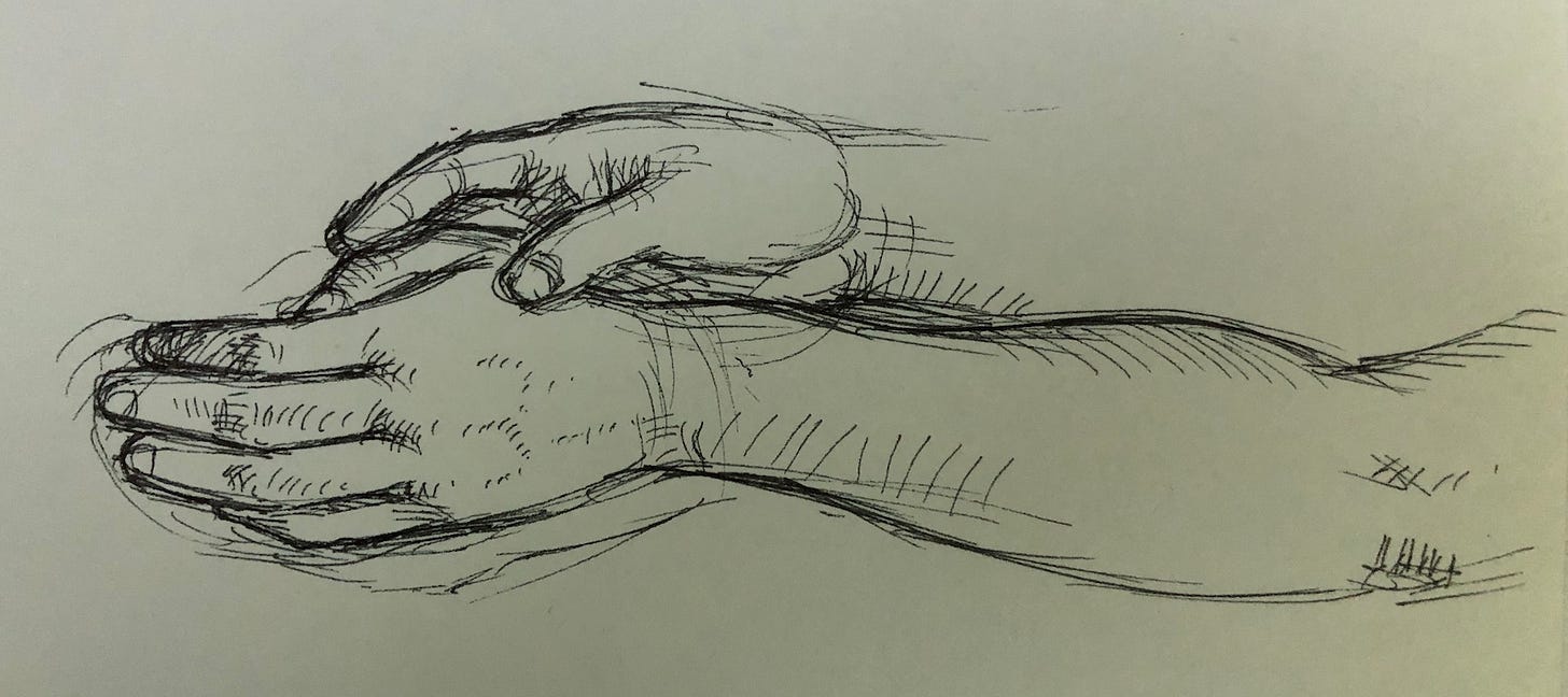 Sketch of Legally Blonde's hands.