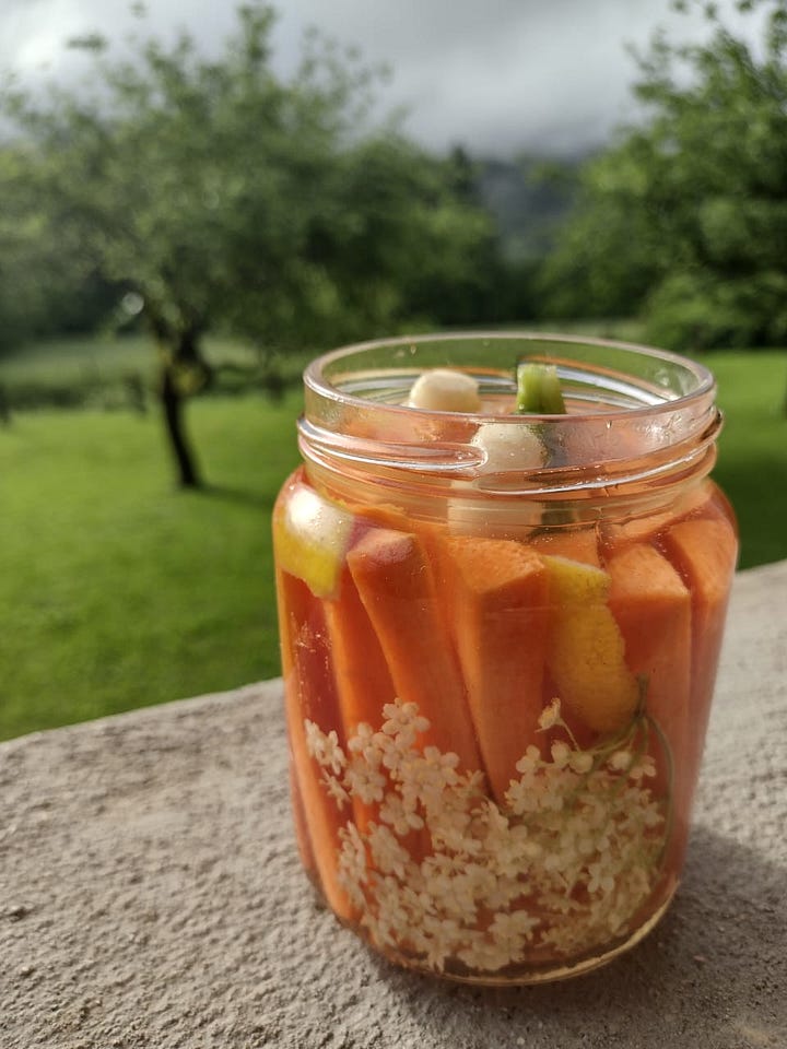 Fermentos de sauco y zanahorias - flores comestibles en la cocina