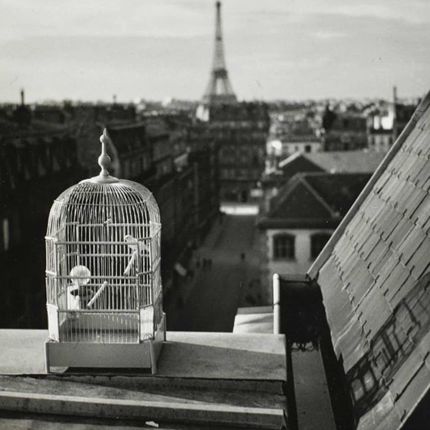 Gravitational Field of Oblivion 