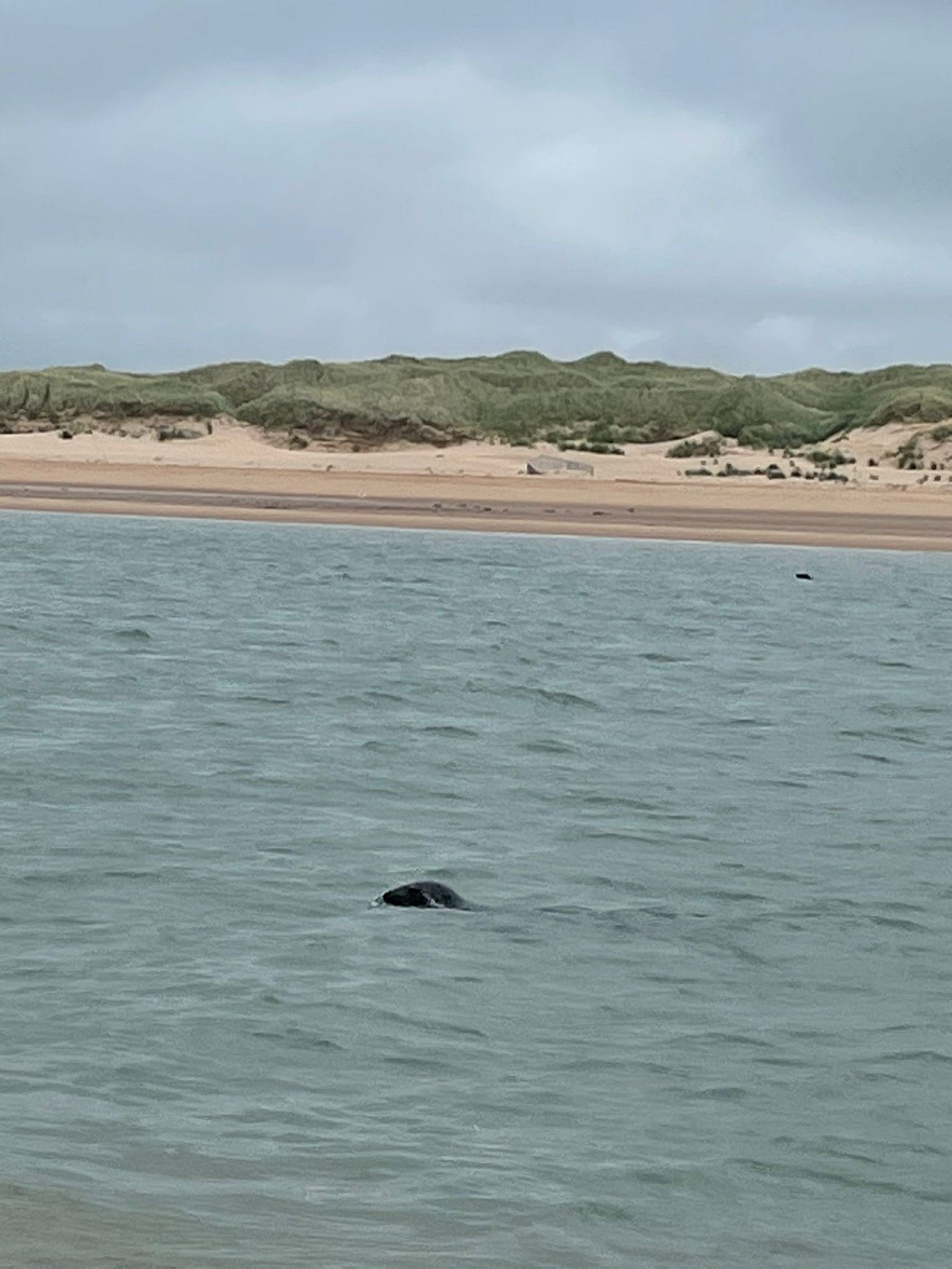 Living in Aberdeen Part 5