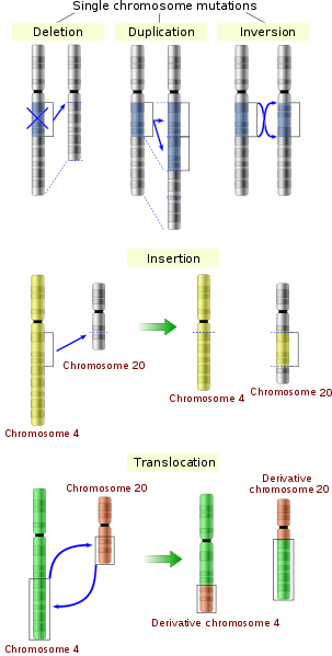 Mutations Mutations