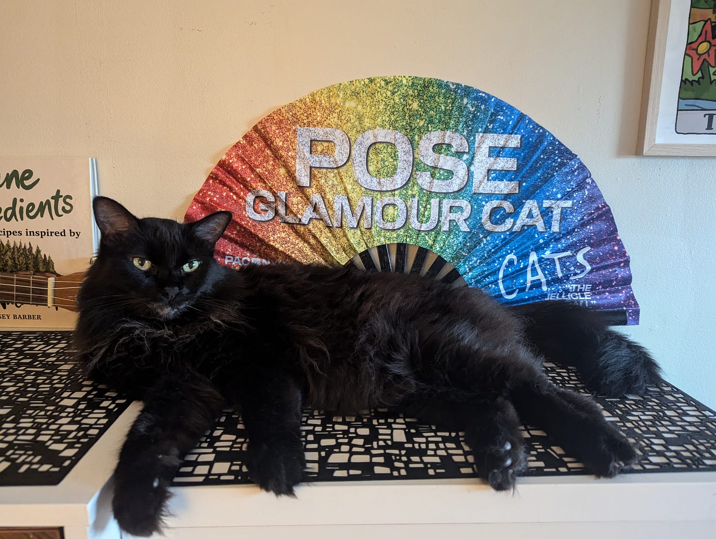 Bixby relaxes on a countertop in front of a rainbow fan that says "Pose Glamour Cat" Bixby relaxes on a countertop in front of a rainbow fan that says "Pose Glamour Cat"