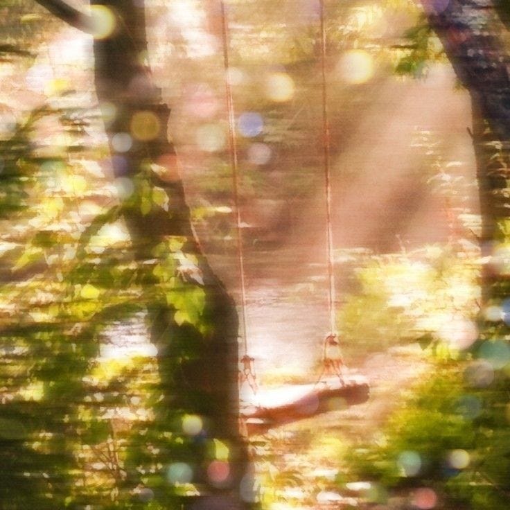 This may contain: the sun is shining through the trees in the forest with a swing hanging from it's branches