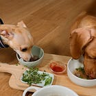 Pup Pho