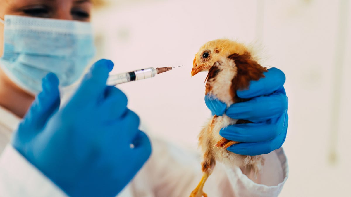 thewinepress.substack.com