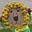 One More Bite's avatar