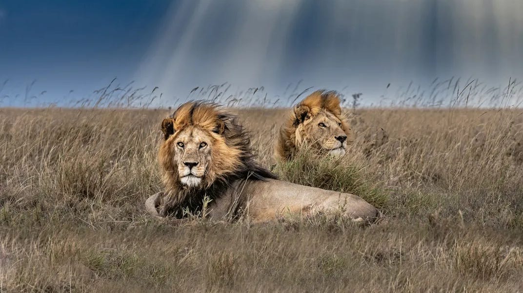 Loving Without Expectation