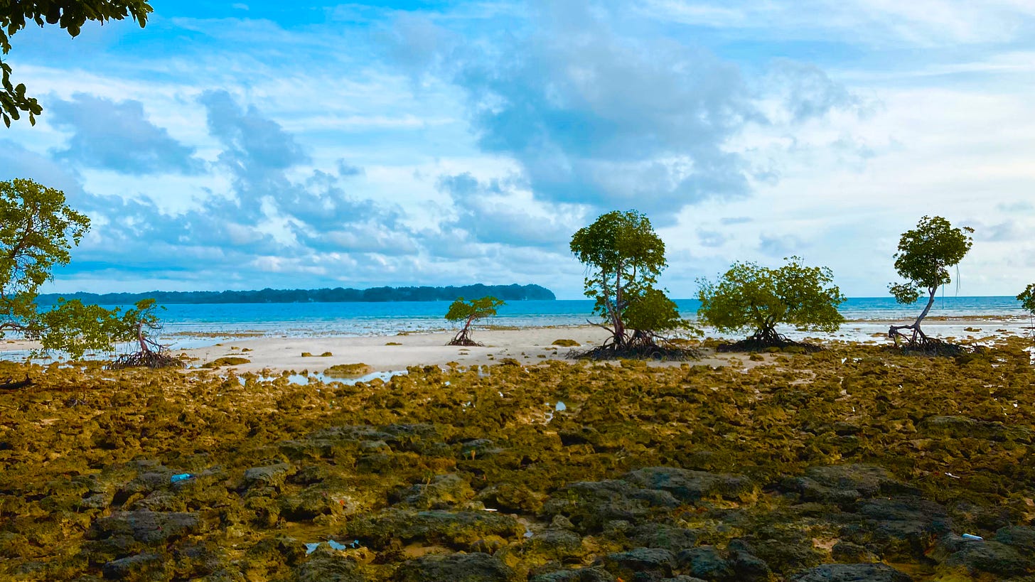 The Island Where There Was Nothing to Do