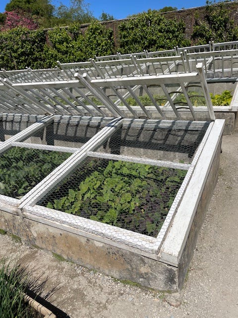photos of Heligan by Sabrina Simpson