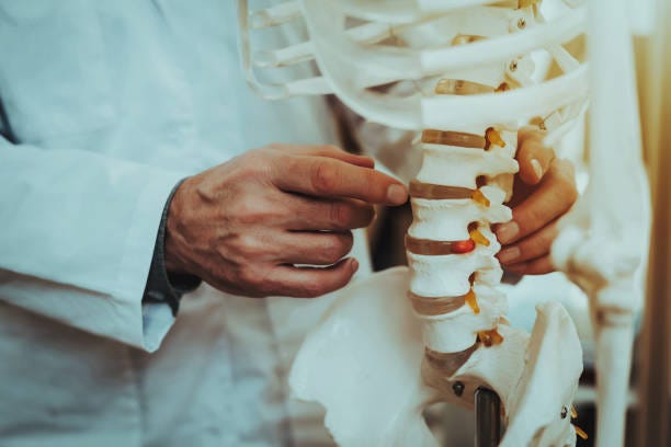 Doctor Holding and Showing Vertebrae on Skeleton Doctor is Working in Office. Doctor is Old Caucasian Man. Person is Wearing White Robe. Man is Holding and Showing Vertebrae on Skeleton. Closeup View of Vertebrae on Skeleton. Daytime. Spinal Health stock pictures, royalty-free photos & images