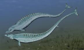 File:Basilosaurus BW.jpg - Wikimedia ...