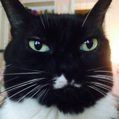 X avatar for @sjwhitmore
