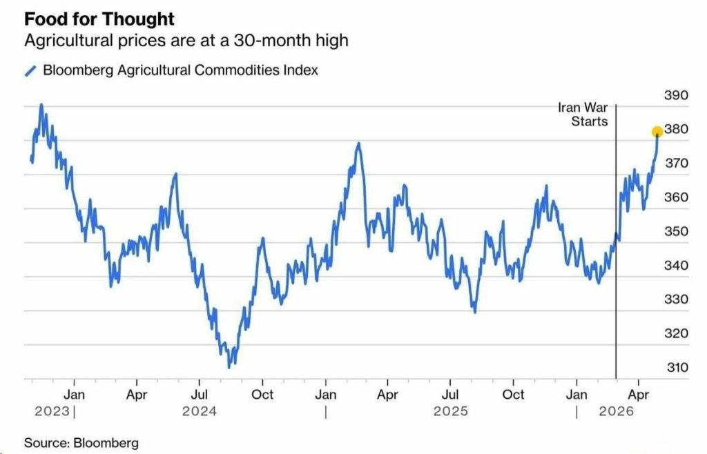 A chart showing the development of agricultural prices according to the Bloomberg Agricultural Commodities Index, with a 30-month high.