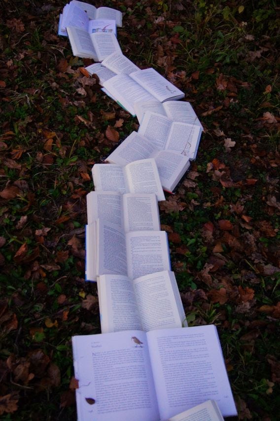 organising literature review