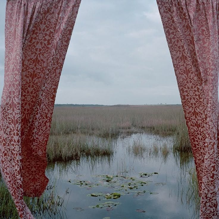 May be an image of curtains and text