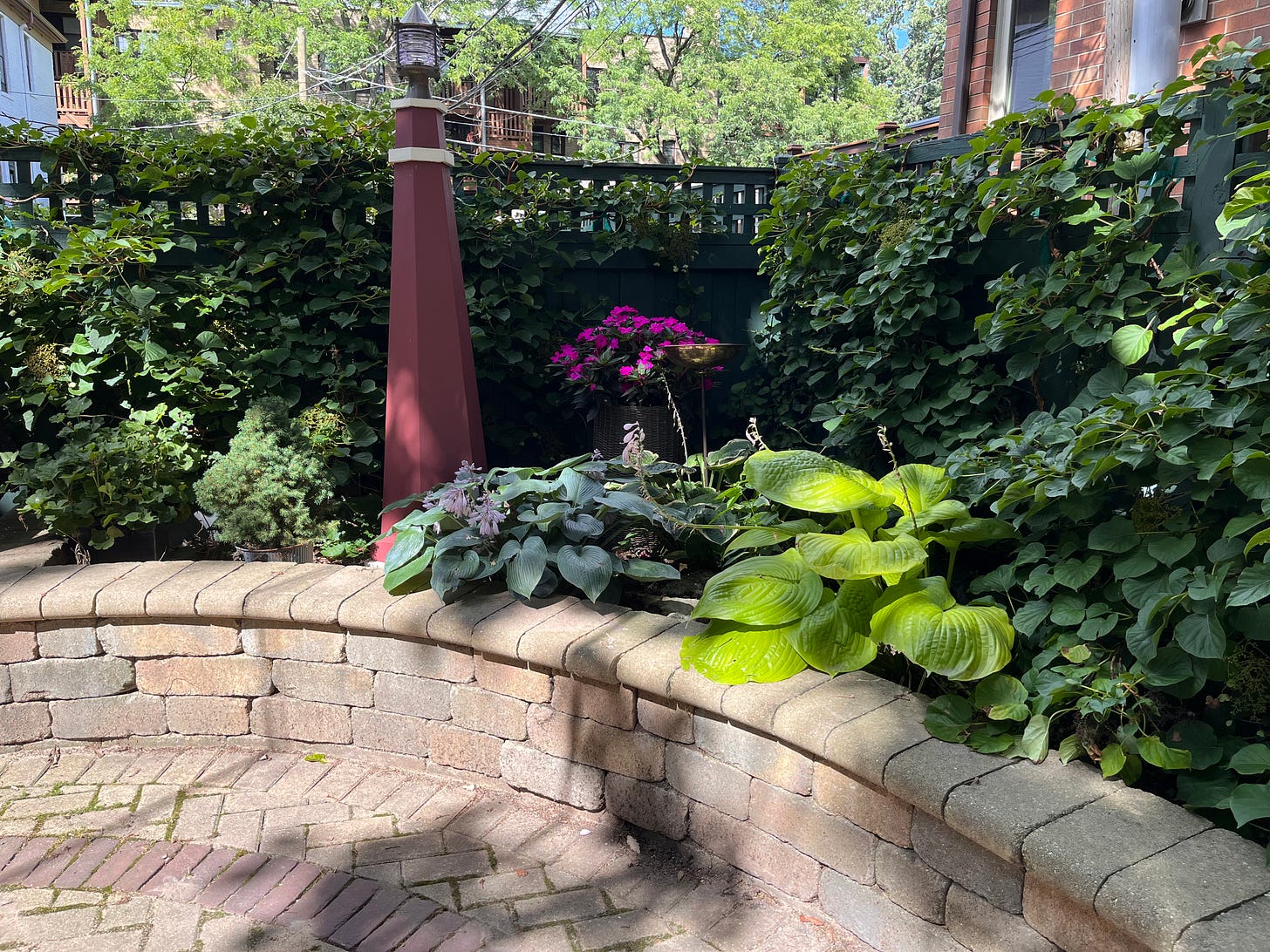 A shade garden of climbing hydrangeas and hosta with a maroon lighthouse