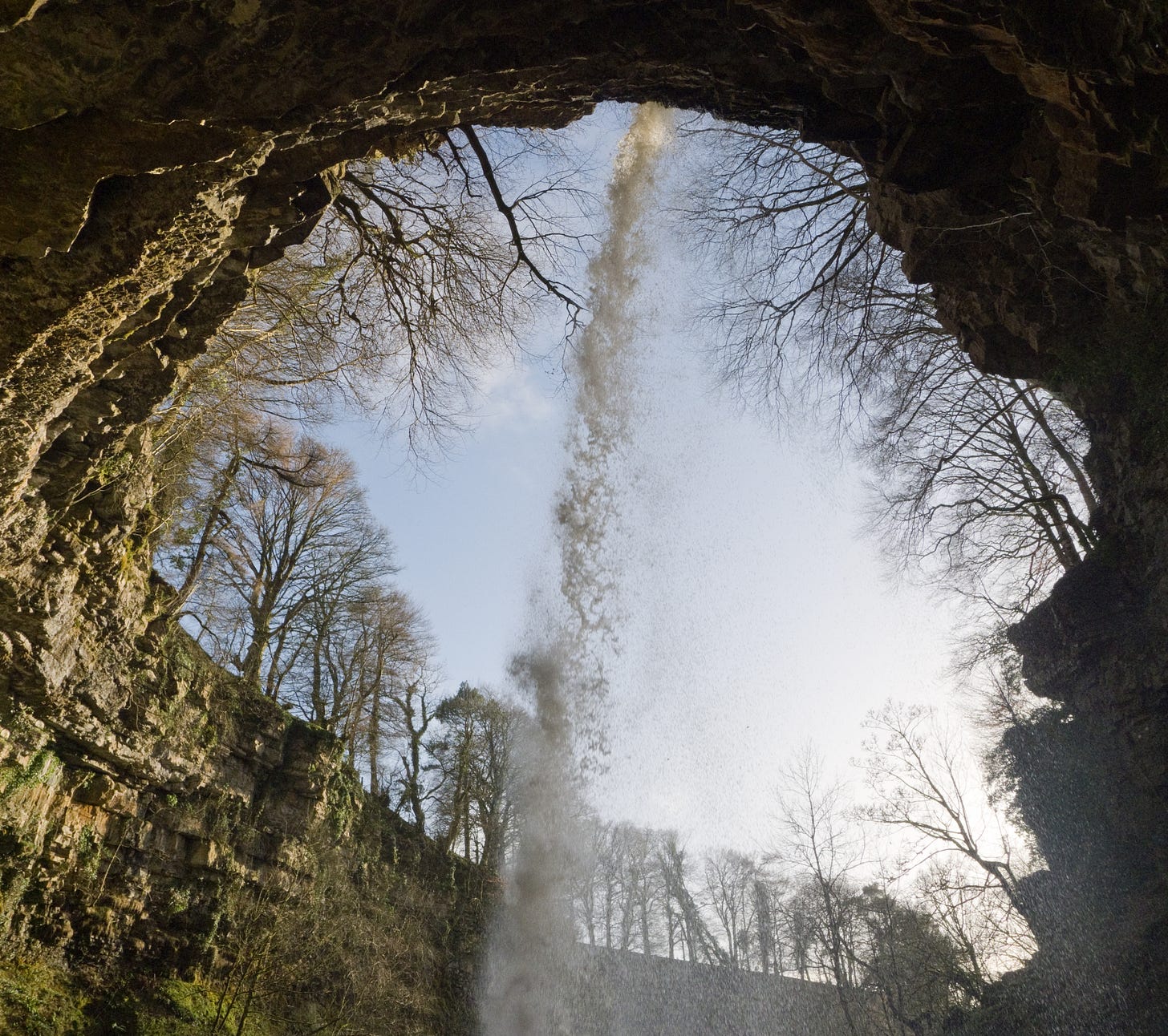 Hardraw Force