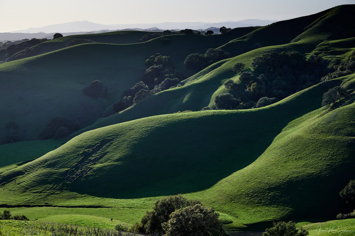 May be an image of nature and mountain