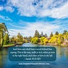 Daily Devotional For Women